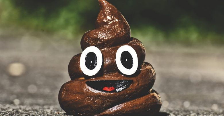 Ściągnął spodnie na rynku i zrobił kupę. Potem jeszcze poprawił (fot.poglądowe - pixabay.com)