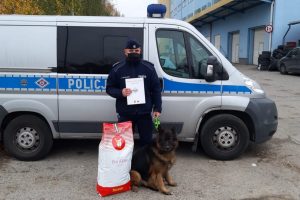 Prawie 11-letni owczarek niemiecki, postrach dealerów narkotykowych, odchodzi po latach służby na zasłużoną emeryturę. Mowa o Bazylu, który służył w bydgoskiej komendzie (fot.policja.pl)