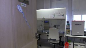 Sosnowiec podsumował 4 lata programu in vitro, w którym miasto dofinansowuje parom zabiegi sztucznego zapłodnienia. Dzięki wsparciu miasta urodziło się 23 dzieci