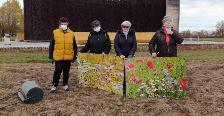 Tychy: Seniorzy decydują. Efekt ich pracy będzie widoczny na wiosnę (fot.UM Tychy)