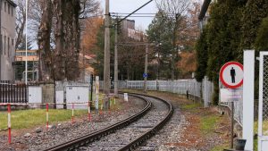 Fiaskiem zakończyły się negocjacje aktywistów ze starostwem i PKP PLK w sprawie wycinki drzew przy rewitalizowanej linii kolejowej Cieszyn – Goleszów