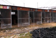 W Mysłowicach walczą o zwierzęta. W mieście powstanie nowe schronisko dla zwierząt