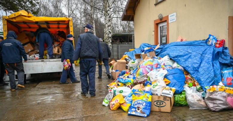 Piękny gest szkół z Częstochowy. Zebrali ponad 3,5 tony karmy dla zwierząt. Fot. UM Częstochowa