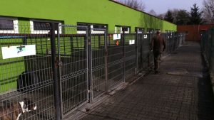 Zwierzęta będą miały prawie jak w domu. Jak słychać, psy domagają się zainteresowania. Jednak warunki, w których teraz mieszkają pozostawiają wiele do życzenia