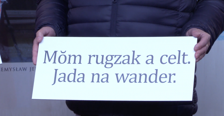 Apel przygotowano w języku śląskim wraz z tłumaczeniem na język polski. Idealną do tego okazją jest zbliżający się spis powszechny, gdzie aby teraz zaznaczyć swoją narodowość będzie trzeba wypełnić pole „inne”.
