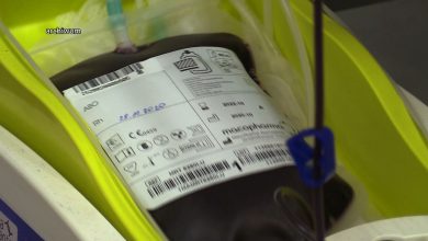 Przez przesuwanie operacji szpitale i centra krwiodawstwa mają za dużo krwi!