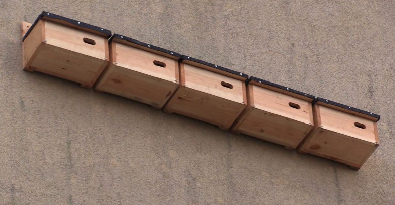 Latające kombajny do zjadania komarów dostaną w Piekarach Śląskich specjalne domki
