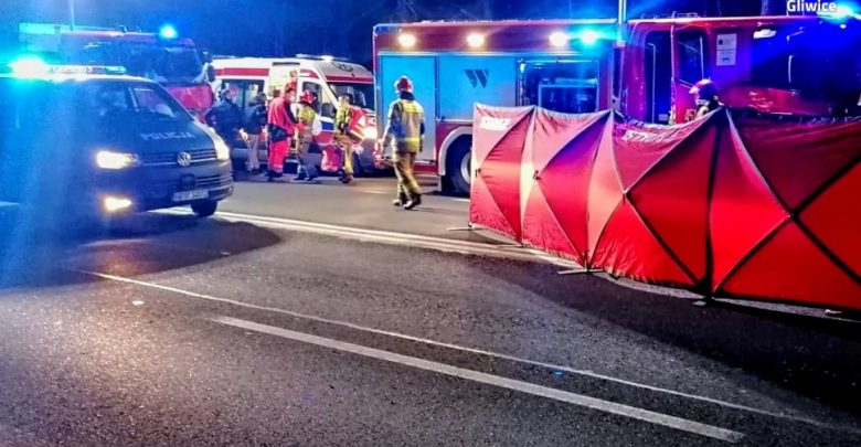 Gliwice: Tragedia na DK88. Nie żyje 17-latek (fot.Śląska Policja)
