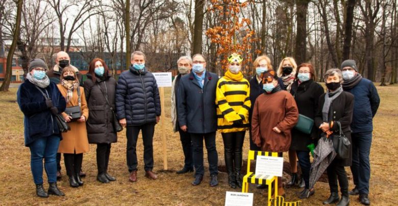 W Zabrzu posadzono drzewo w ramach obchodów 90. urodzin Janoscha. Fot. UM Zabrze