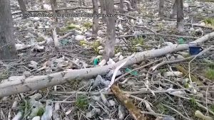Przy ujściu rzeki Soły do Jeziora Żywieckiego ujawniono tysiące plastikowych odpadów, które jak mówią strażnicy zalegają na terenie wielkości boiska piłkarskiego