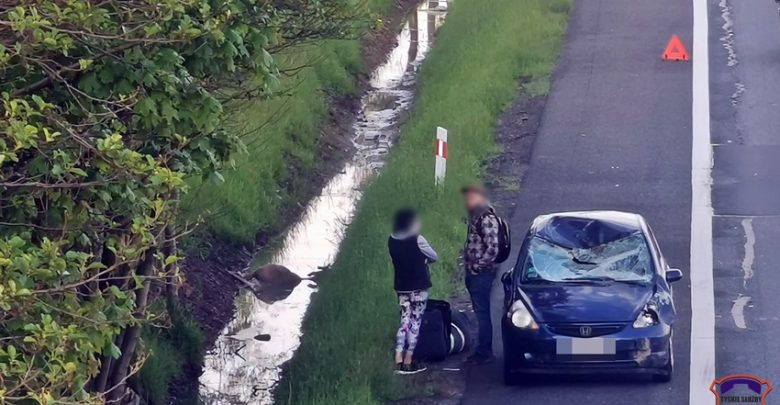 O krok od tragedii w Tychach! Zderzenie z jeleniem na S1 mogło skończyć się fatalnie (fot.www.112tychy.pl)