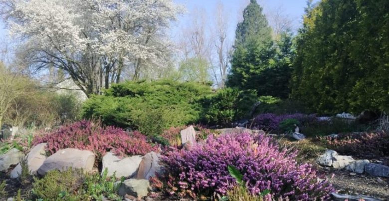 Dziś otwiera się Miejski Ogród Botaniczny w Zabrzu. Fot. UM Zabrze