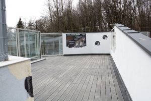 Pantery śnieżne ze śląskiego ZOO mają nowy wybieg. To inwestycja z Marszałkowskiego Budżetu Obywatelskiego (fot.Śląski Ogród Zoologiczny)