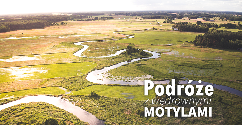 Podróże z Wędrownymi Motylami
