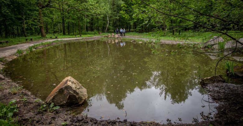 Teren wokół Planetarium Śląskiego już nie będzie takie samo. Wkrótce ruszy przebudowa (fot.Park Śląski)