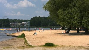 Komary i kleszcze w Tychach znikną? Miasto rozpoczyna specjalne opryski. Sosnowiec pryskać nie zamierza