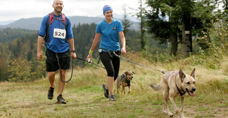 Przygoda na cztery łapy w Parku Śląskim, czyli Puchar Polski w Dogtrekkingu już 26 czerwca! (fot.Park Śląski)