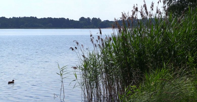 Gdzie się podziali zaginieni znad Pogorii III? Wszystkie służby postawione na równe nogi