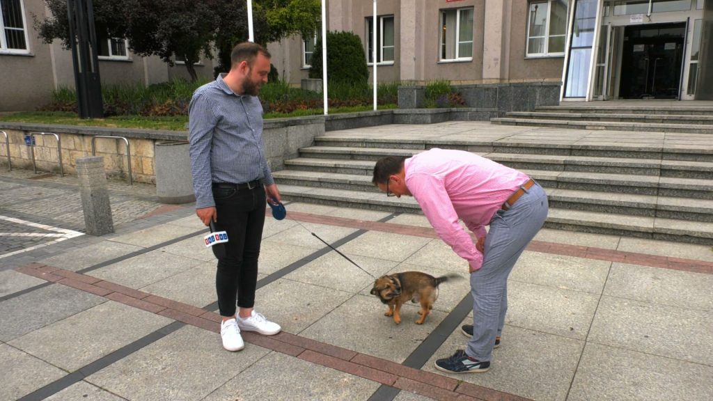 Podobnie jest w Sosnowcu, gdzie oficjalnego pozwolenia nie ma, ale nikt tak psom wchodzić z właścicielem nie zabrania