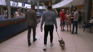 Do urzędu miasta na czterech łapach! Psy mogą wchodzić do magistratu w Dąbrowie Górniczej