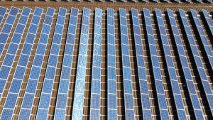 Największa instalacja fotowoltaiczna znajdująca się na miejskich obiektach w Rudzie Śląskiej produkuje już prąd. Blisko 900 modułów zainstalowanych zostało na terenie oczyszczalni ścieków „Halemba-Centrum” (fot.UM Ruda Śląska)