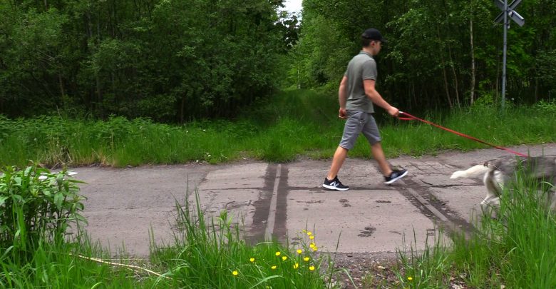 Z Giszowca do Brynowa i Doliny Trzech Stawów. Katowice ogłaszają przetarg na Velostradę