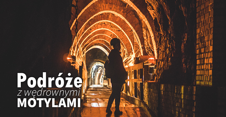 Podróże z Wędrownymi Motylami - Śląsk szlakiem Zabytków Techniki, sob. 10.00, nd. 09:40