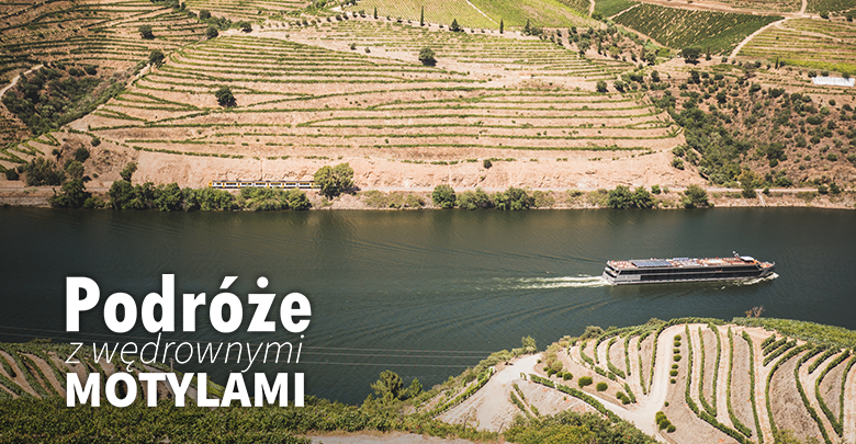 Podróże z Wędrownymi Motylami - Porto i dolina Douro (sob. 10:00, nd. 10:20)