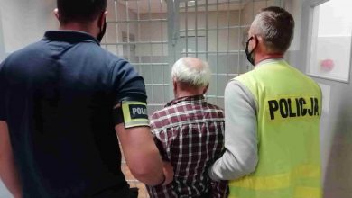 Zaatakował swoją żonę grabiami. 73-latek został aresztowany (fot.Policja Łódzka)