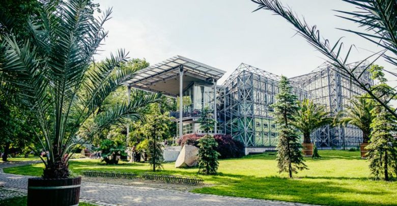 Gliwicka palmiarnia ma nowe ściany. Remont trwa do końca wakacji. Fot. UM Gliwice