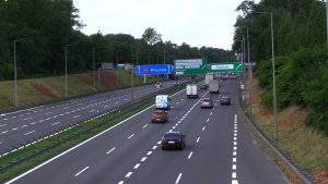 Przejeżdżasz przez bramki na A4 na aplikacji? Pomagasz zwierzakom ze schronisk! To akcja Stalexport Autostrada Małopolska