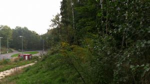 W Wodzisławiu Śląskim mieszkańcy się zbuntowali. Mówią stop budowie mieszkań i wycince drzew!