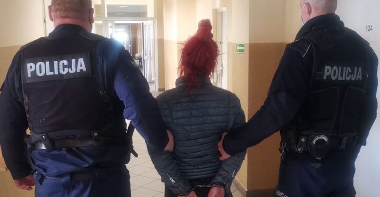 Wyrzuciła kota z trzeciego piętra. Zwierzę nie żyje (fot.KMP Gdańsk)