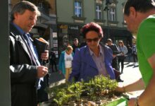 Fundacja Arka namawia do sadzenia drzew. Wcześniej trzeba jednak oddać książkę!