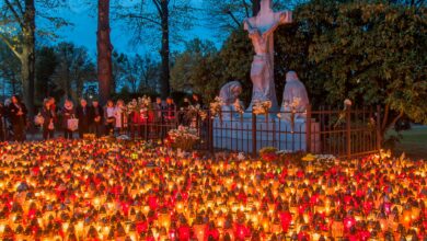 Cmentarze i ekologia. O co apelują Unia Metropolii Polskich wraz z Polską Radą Ekumeniczną oraz Inicjatywą (Nie)zapomniane cmentarze?