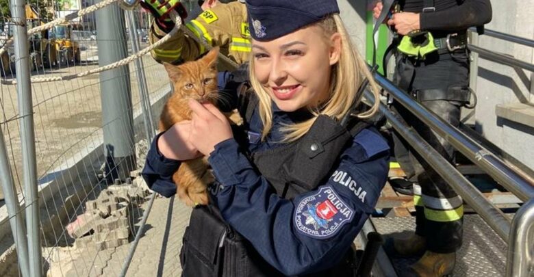 Policja i straż razem w akcji. Uratowali słodkiego, rudego kotka, który wpadł tam, gdzie nie trzeba (fot.Lubuska Policja)
