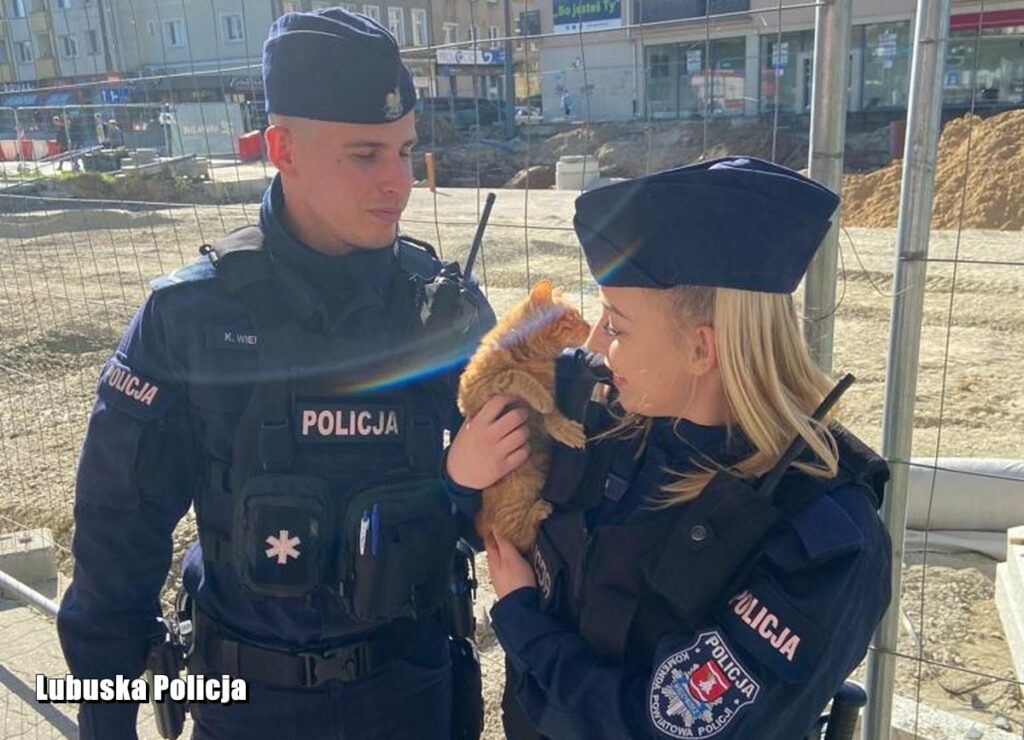 Rudy kitku wprost z głębokiego włazu trafił w objęcia policjantki. I bardzo mu się spodobało ;) (fot.policja)