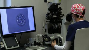 Program in vitro rusza w Mysłowicach. Ile par będzie mogło w ten sposób starać się o dzieci?