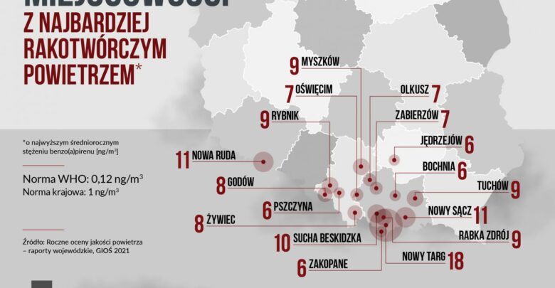 Śląskie: Rybnik, Myszków, Godów, Żywiec. Miejscowości z najbardziej rakotwórczym powietrzem (fot.Polski Alarm Smogowy)