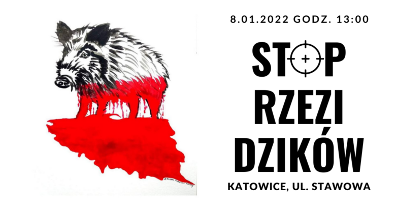 Katowice: „Stop rzezi dzików”. Dziś demonstracja na Stawowej (fot.mat.prasowe)
