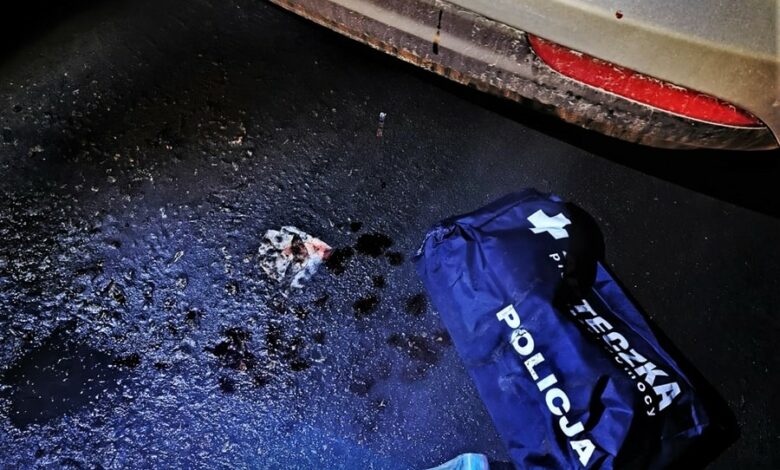 Śląskie: Pociął się i ruszył w drogę. 19-latek nie chciał już dłużej żyć (fot.Śląska Policja)