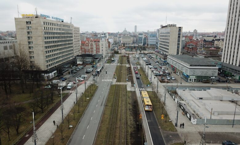 Katowice rozpoczynają sadzenie kolejnych drzew przy al. Korfantego. Fot. UM Katowice