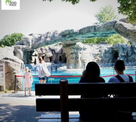 fot.Śląski Ogród Zoologiczny/fb