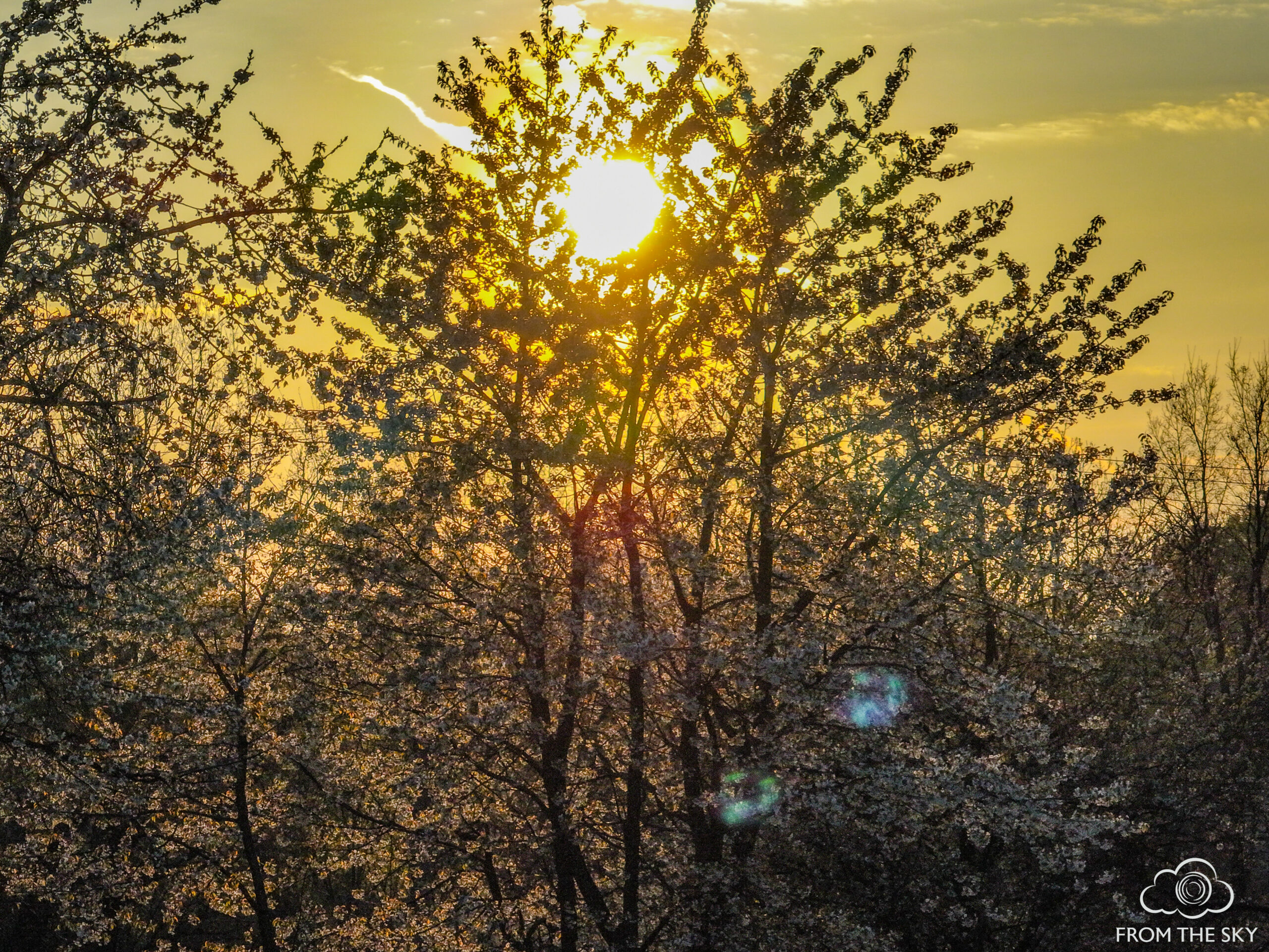 Góra św. Anny