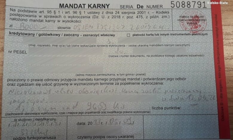 fot.Śląska Policja