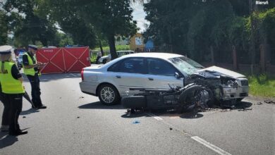 fot.Śląska Policja
