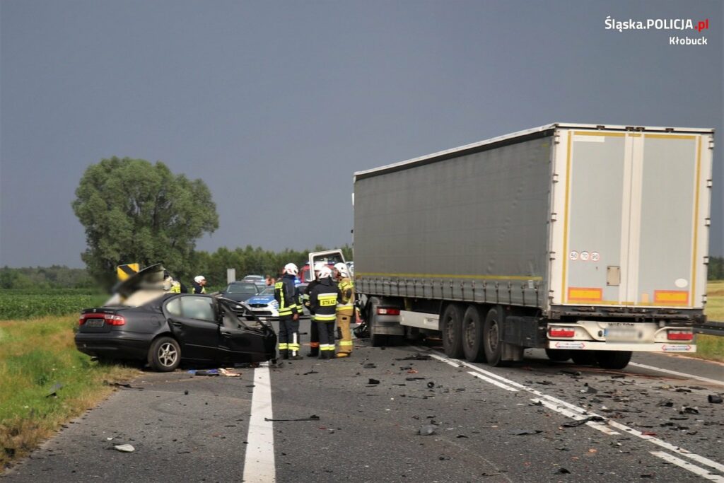fot.Śląska Policja