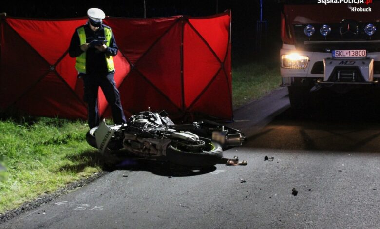fot.Śląska Policja