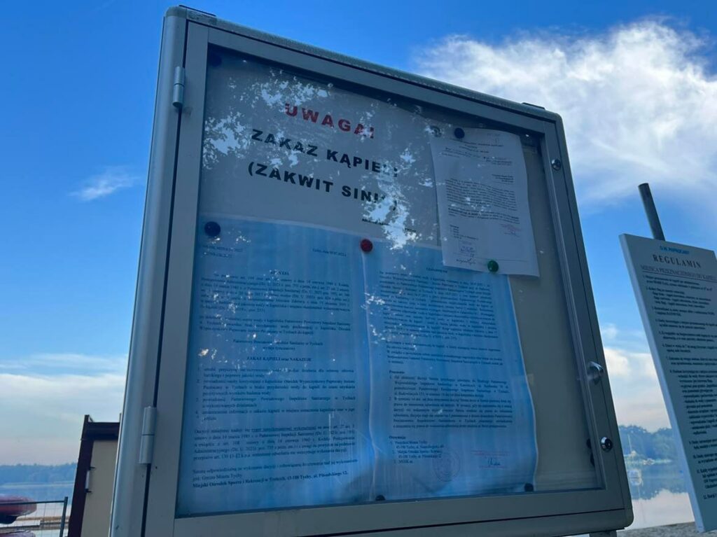 "<yoastmark