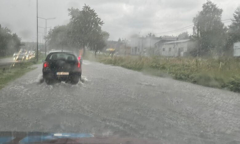 zalane drogi. Sosnowiec